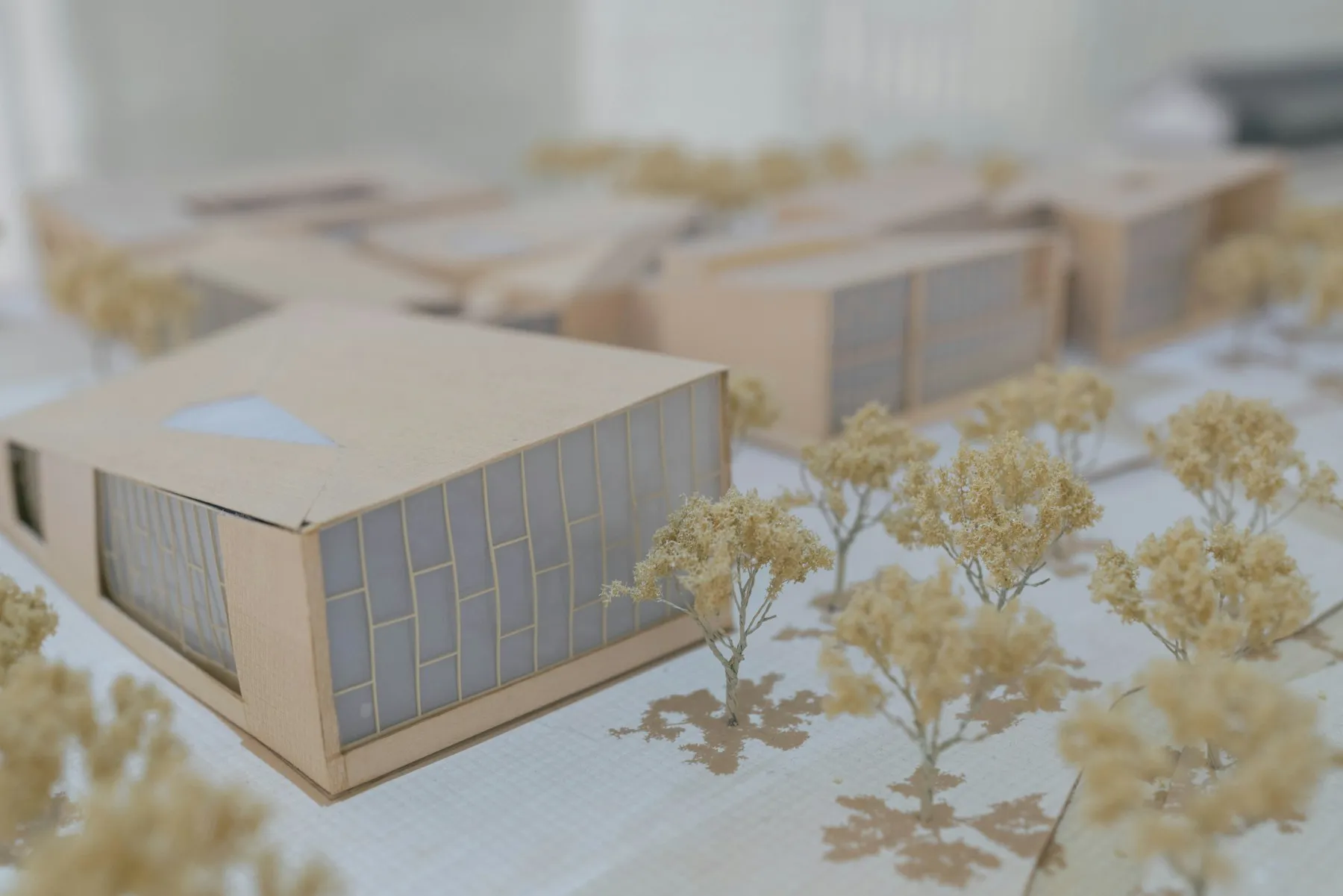 White and timber architectural model